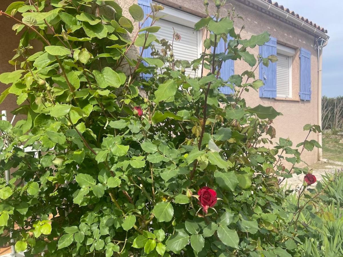 Confortable Villa De Vacances Entre Nimes, Le Pont Du Gard, Uzes, Arles, Avignon 말게레츠 외부 사진